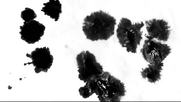 Abstracte Inktdruppels Verspreiding Nat Papier — Stockvideo