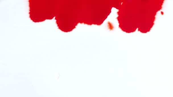 Gotas Tinta Abstracta Propagación Papel Mojado — Vídeos de Stock