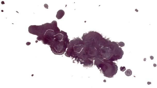 Gotas Tinta Abstracta Sobre Papel Mojado — Vídeo de stock