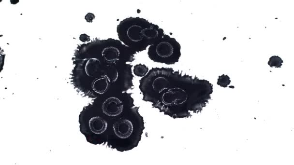 Абстрактні Чорнильні Краплі Вологому Папері — стокове відео