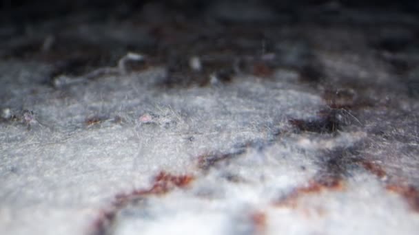 Old Carpet Fabric Macro View — Stock Video