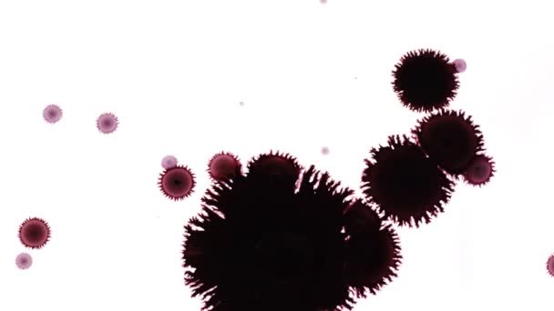 Abstract Ink Drops on Wet Paper — Stock Video