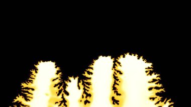 Islak Kağıda Soyut Mürekkep Damlaları