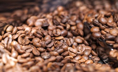 Taze pişmiş kahve. Fasulyeler yakın.