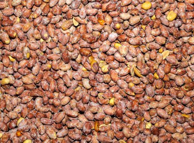 Sağlıklı ve lezzetli Tuzlu Fıstık Yakın plan