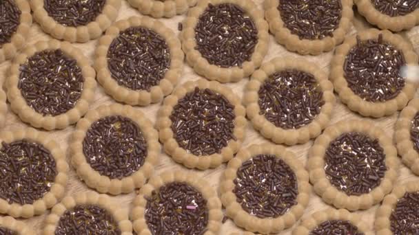 チョコレートチップスとジャムクッキー — ストック動画