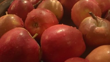Kırmızı Sulu ve Sağlıklı Meyve Elması