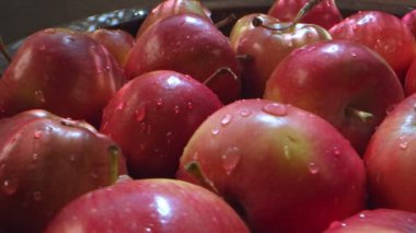 Kırmızı Sulu ve Sağlıklı Meyve Elması