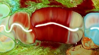 Soyut Su Boyası Difüzyon Patlama Sanatı. Organik suluboya boya, süt ve sabundan yapılmış. Süt ve sabun arasında kimyasal bir reaksiyon. Sanatsal mürekkep karışımı ve renkli sürrealist şekiller..