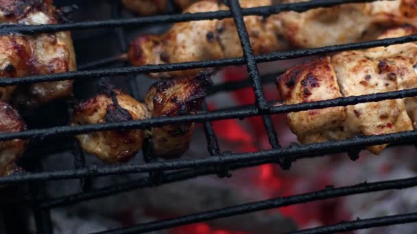 Heerlijk Kippenvlees Barbecuevuur — Stockvideo