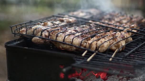 鸡肉在烤肉火上的配餐 — 图库视频影像