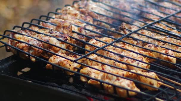 Heerlijk Kippenvlees Barbecuevuur — Stockvideo