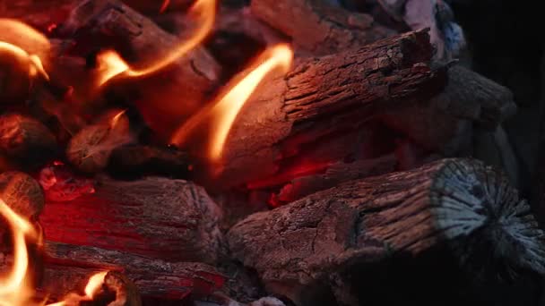 炉火及灰烬 — 图库视频影像