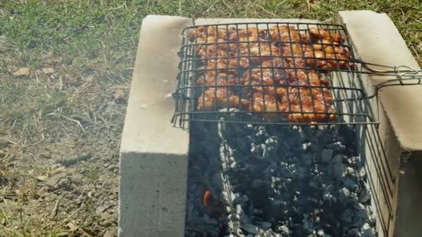 Ayam Daging Barbekyu Api — Stok Video
