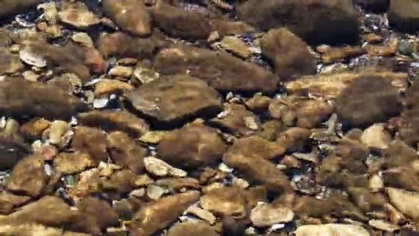 Agua Pura Del Mar Las Piedras Submarino — Vídeo de stock