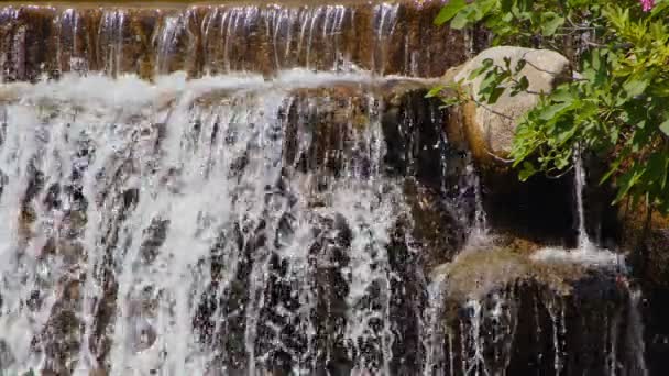 Cascade Dans Une Nature Sauvage — Video