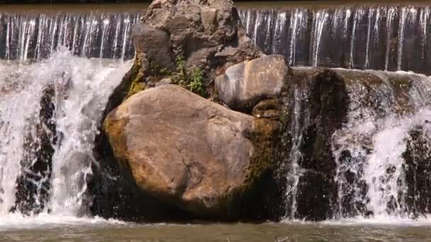 野生生物中的瀑布 — 图库视频影像