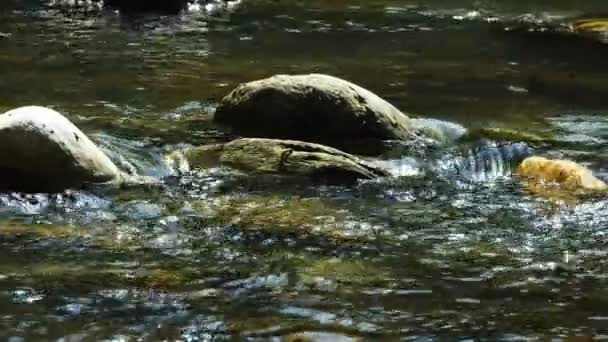 Водоспад Дикій Природі — стокове відео