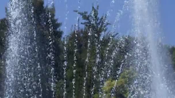 ウォータープールの噴水 — ストック動画