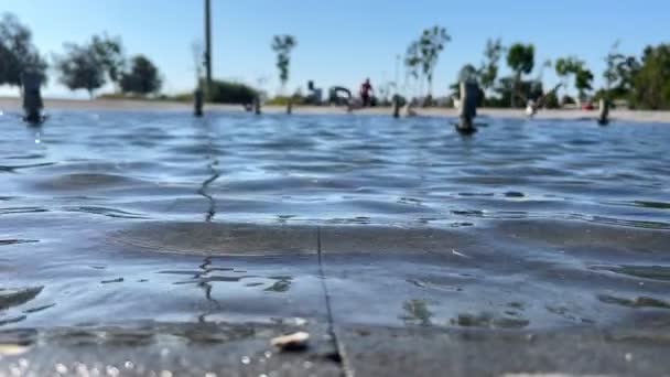 Piscina Água Pássaros Voadores Desfocados — Vídeo de Stock