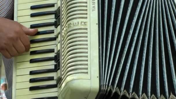 Spelen van accordeon in buiten — Stockvideo