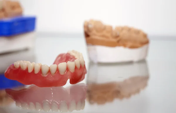 Cyrkonu porcelanowe zębów płytki w sklepie dentysta — Zdjęcie stockowe