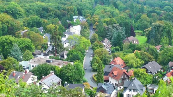 Stadje in bos time-lapse — Stockvideo