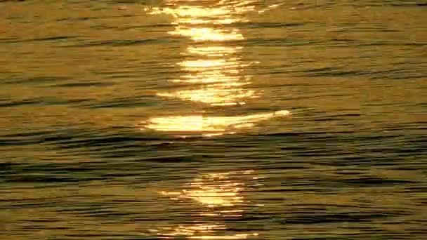 Lumière du soleil sur l'eau de mer — Video