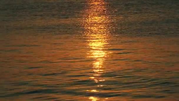 Luce del sole sull'acqua di mare — Video Stock