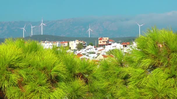 El tiempo Vano de viento — Vídeo de stock