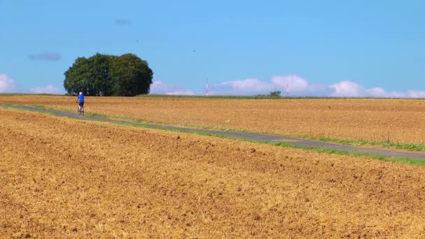 Hombre en bicicleta en el campo — Vídeos de Stock