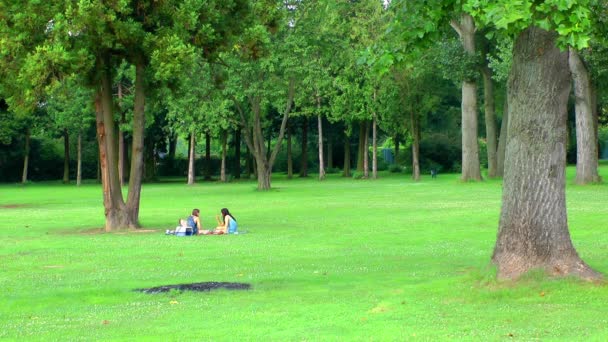 Picknick på naturen — Stockvideo