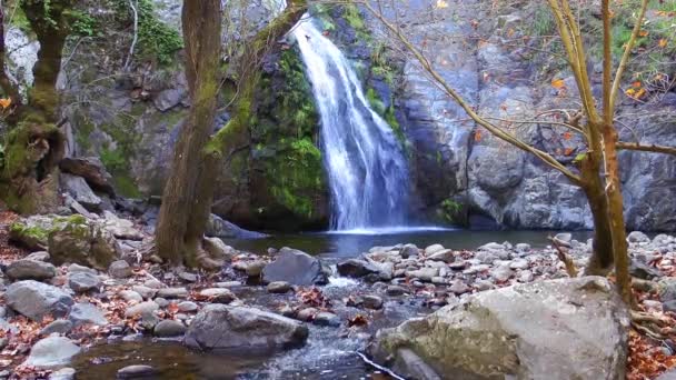 Водопад в природе — стоковое видео