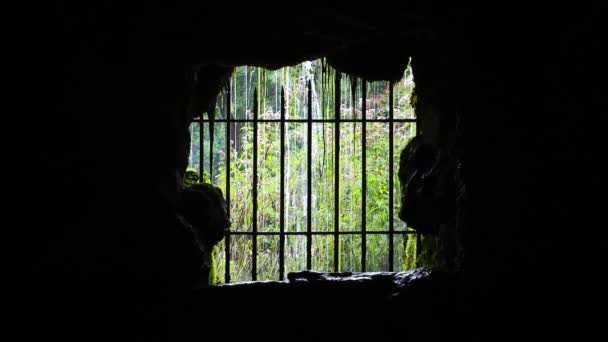 Cascade et nature derrière une clôture en fer dans une grotte — Video