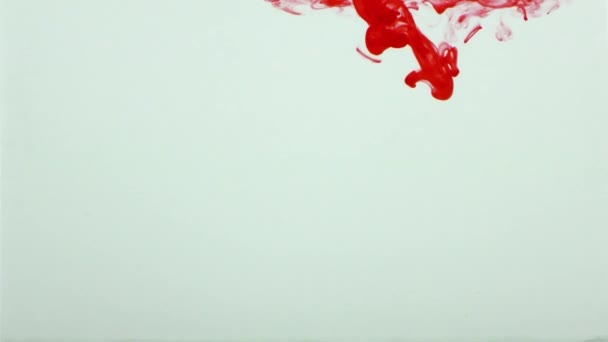 Tinta de tinta colorida cai respingo no subaquático na piscina de água — Vídeo de Stock