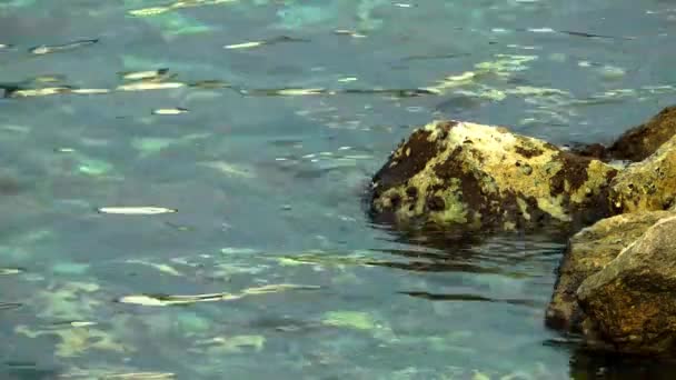 Les rochers et la mer