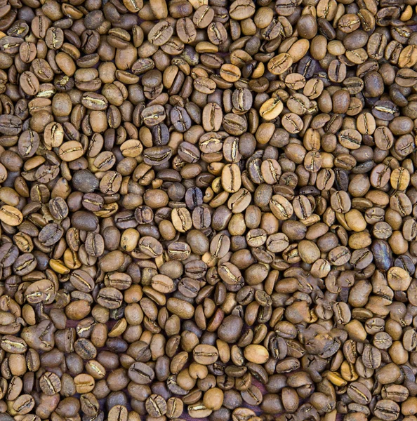 Rostat kaffe — Stockfoto