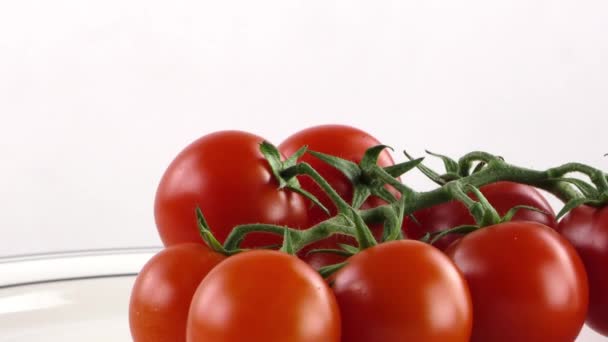 Tomate auf einem Teller — Stockvideo