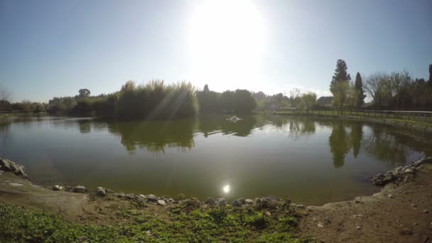湖 — 图库视频影像