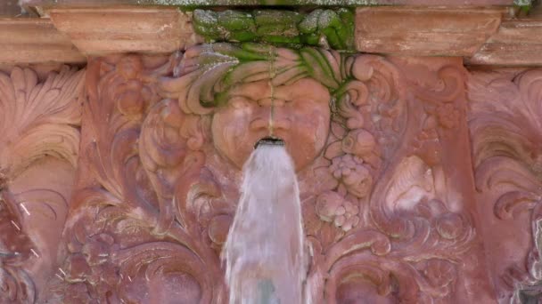 Fontaine et statue antique à Francfort — Video