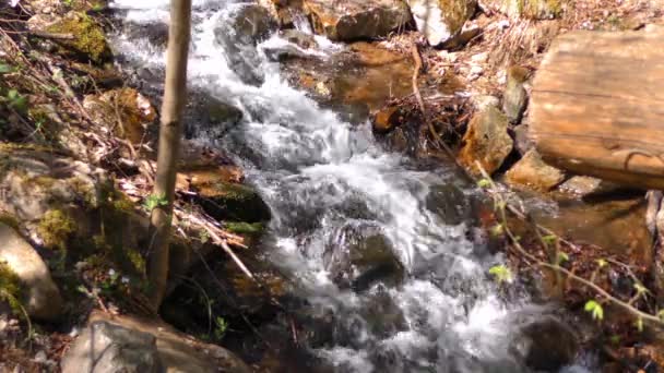 Водоспадний струмок у природі — стокове відео