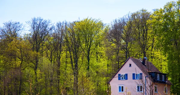 Bos en de bomen en de oude Duitse huis — Stockfoto
