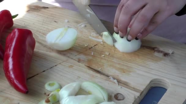 Picar cebolla — Vídeos de Stock