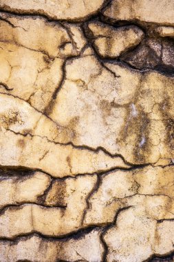 Grunge çatlak duvar arka plan