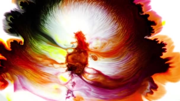 Abstract Colorful Paint Ink Liquid Explode Diffusion Psychedelic Blast Movement — Stock Video