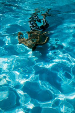 Adam yansıma yüzme havuzunda sualtı dalış