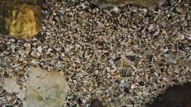 Saf Deniz Suyu Yüzeyi