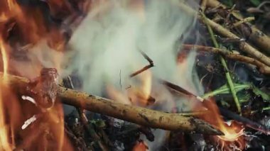 Odun Ateşi ve Duman