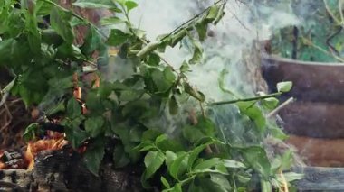 Odun Ateşi ve Duman