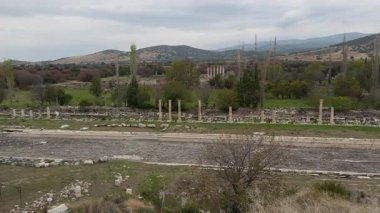 Karacasu Türkiye 'deki Antik Afrodizyak Kentine Yolculuk